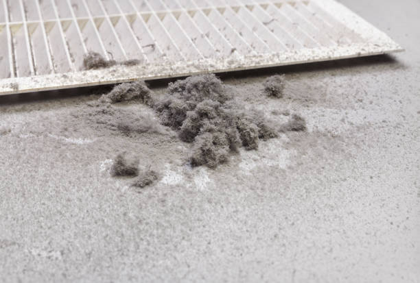 Best Air Vent Cleaning Services  in Tracyton, WA