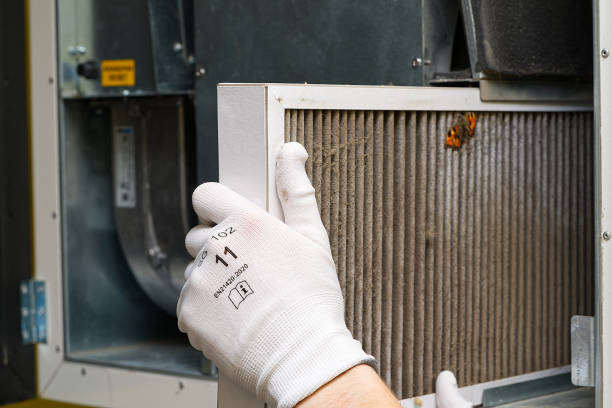 Best Local Air Duct Cleaning Services  in Tracyton, WA