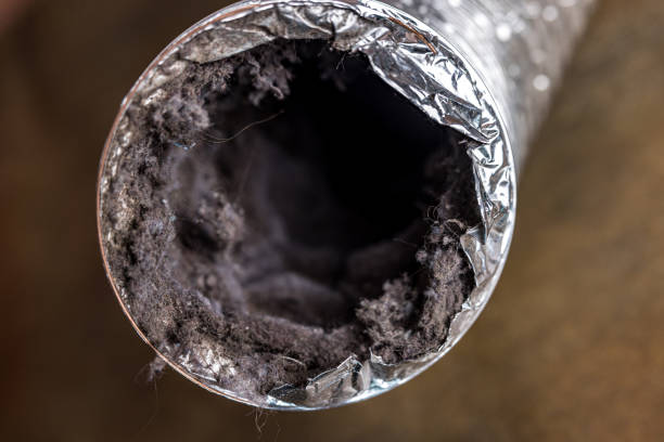 Best Affordable Air Duct Cleaning  in Tracyton, WA